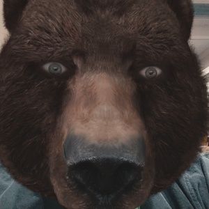Meet your Posher, JerBear